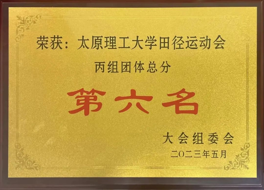 青春激扬
